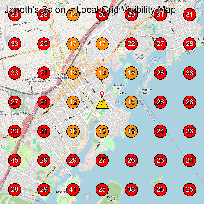 Janeth's Salon GeoGrid visibility map for Hair Salon in New Rochelle